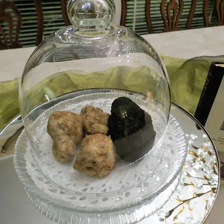 Bed & Breakfast Morissolina Trarego