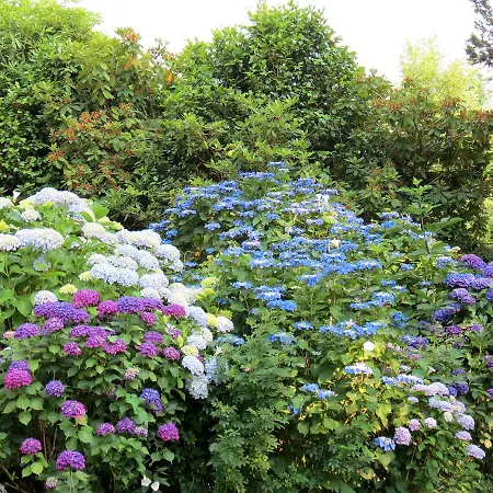 Bed & Breakfast Morissolina